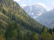 The first signs of Fall colors are starting to show up in the Tirolean Alps