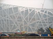 Bird's nest stadium for the Olympics