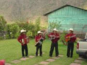 Mariachi band in the hotel garden