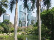 Lippo towers and palm trees