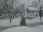 Snow storm in my neighborhood