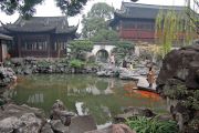 Fish pond at Yu Garden
