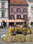 Harvest market on the town square